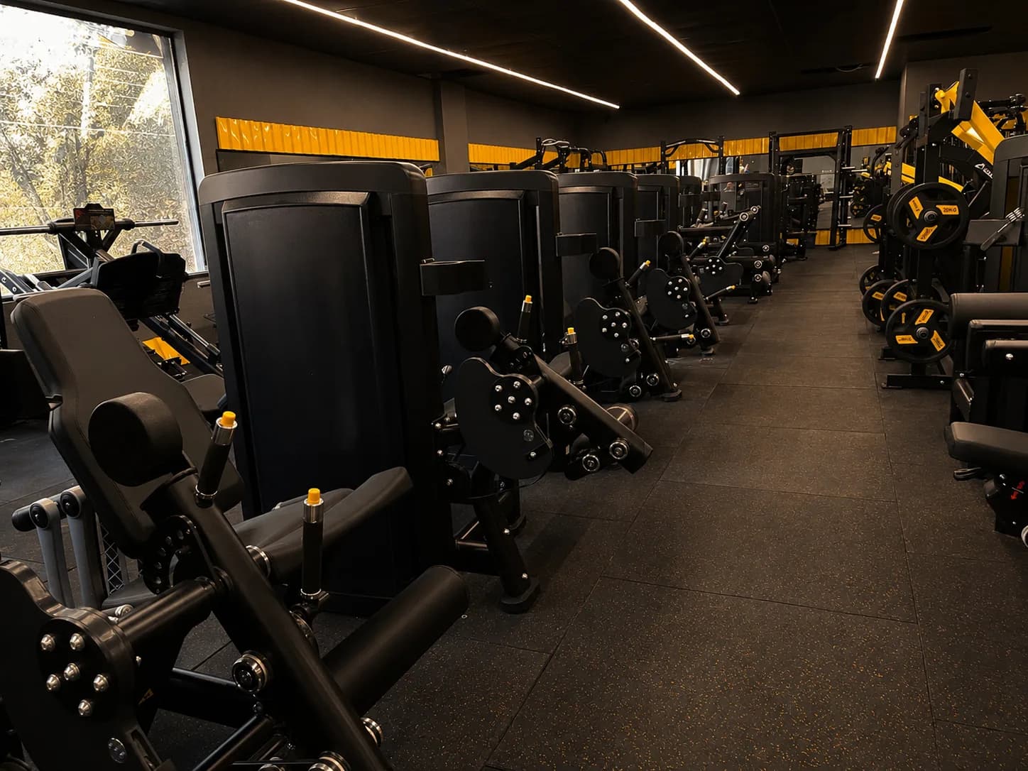 Máquinas de musculação alinhadas na Loud Fit Ipiranga