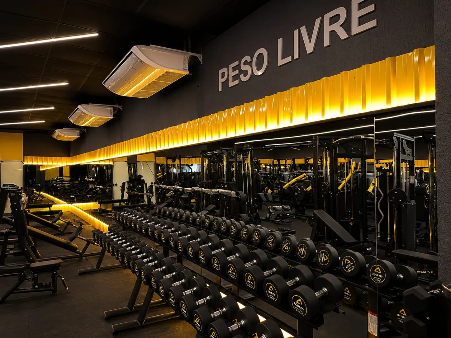 Área de peso livre com halteres na Loud Fit Ipiranga